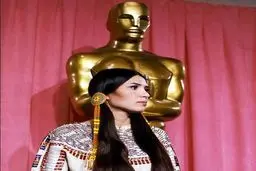 دیوانگان مشغول کارند 