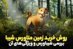 روش خرید زمین متاورس شیبا