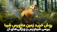 روش خرید زمین متاورس شیبا