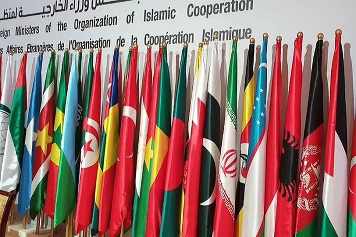 OIC to hold emergency meeting on Qur’an desecration: Iraq