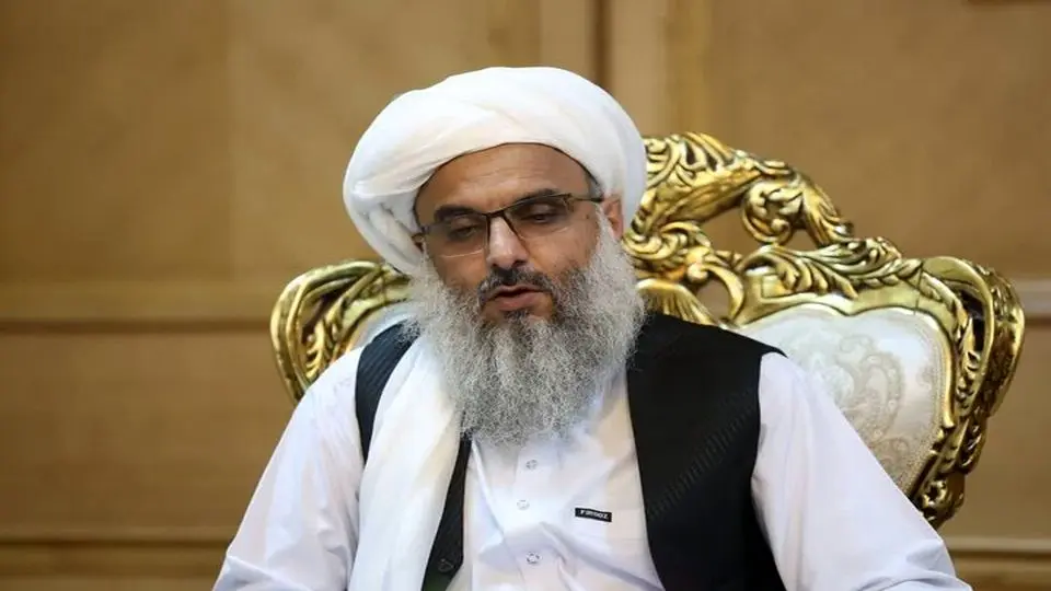 والی هرات: مشکلات مهاجران در اردوگاه فریمان حل شد