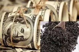 افزایش قیمت چای وارداتی در برابر رکود چای ایرانی / قیمت خرید تضمینی چای با نرخ تورم همخوانی ندارد
