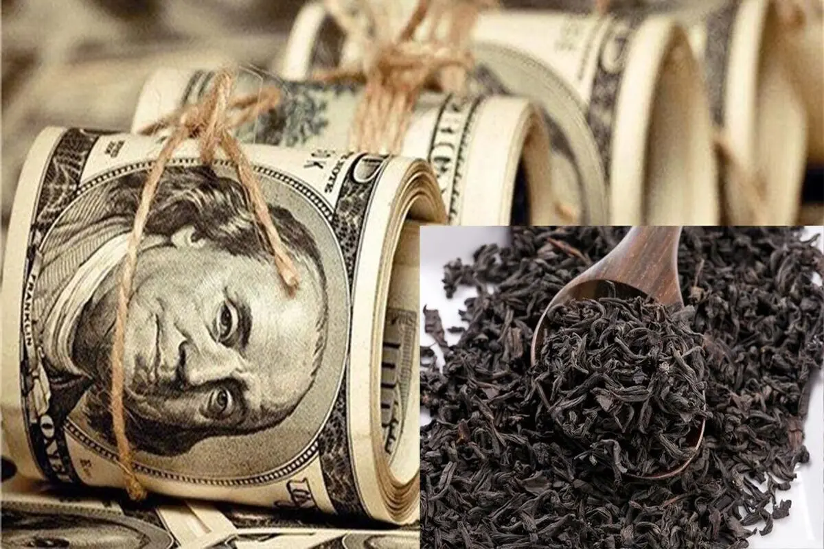 افزایش سرسام آور قیمت چای