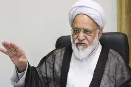 مصباحی‌مقدم: در پی حوادث سال گذشته بخش مهمی از ذخایر کشور به خارج منتقل شد و جمع زیادی از نخبگان مهاجرت کردند

