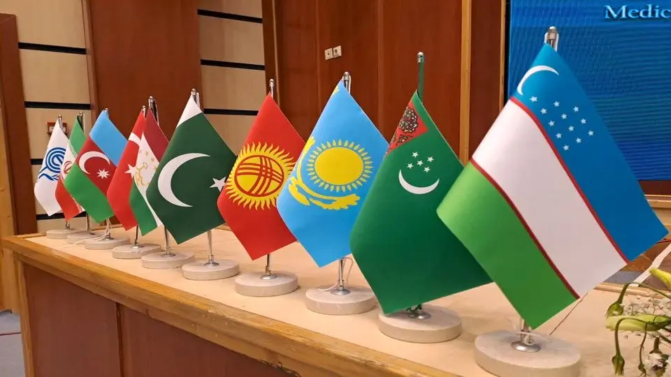 برگزاری اجلاس سران کشورهای عضو اکو در آذربایجان