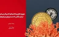 مهریه‌های پرحاشیه‌ای که بی‌اثر می‌شوند از بال مگس تا دست و پای پدرشوهر