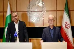 وزیر کشور پاکستان: پیام مهمی از عاصم منیر به تهران آورده ام