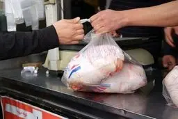 قیمت جدید مرغ اعلام‌شد