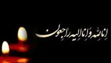سید مهدی طباطبایی عزادار شد
