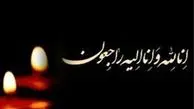 سید مهدی طباطبایی عزادار شد
