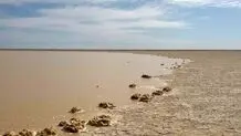 طالبان دروغ می‌گوید/ مانع ورود آب هامون به ایران شده‌اند