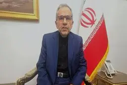 تخت‌روانچی: ایران به کشتی‌ برخی کشورها اجازه عبور از تنگه هرمز داده است