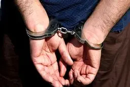 استرداد کلاه‌بردار بورس و رمز ارز و متهم کلان اقتصادی به کشور