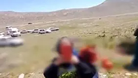 با عوامل چیدن لاله‌های واژگون در سپیدان برخورد می‌کنیم
