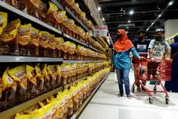 Indonesia to ban palm oil exports to curb domestic prices