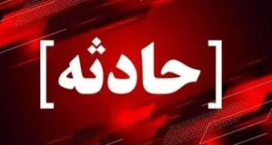 ۴ طبیعت گرد گمشده پیدا شدند