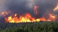 هشدار مدیریت بحران نسبت به آتش‌سوزی در جنگل‌های مازندران