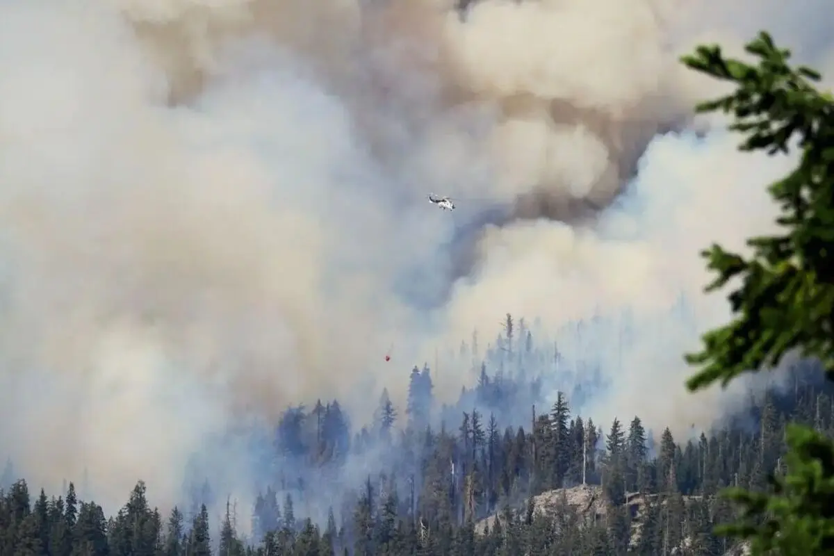سقوط بالگرد در آمریکا