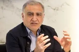 وظیفه کمیسیون امور داخلی کشور و شوراهاست که درباره «آرمیتا گراوند» از وزیر کشور سوال کند