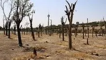 واگن های چینی به تهران نزدیک شد/ بانک مرکزی تایید کرد 