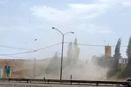 هشدار باد شدید در تهران/ ماندگاری هوای سرد و یخبندان تا پایان هفته 