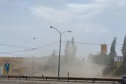 هشدار باد شدید در تهران/ ماندگاری هوای سرد و یخبندان تا پایان هفته 