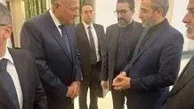 Egyptian FM meets Bagheri Kani on first Iran visit