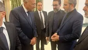 Egyptian FM meets Bagheri Kani on first Iran visit