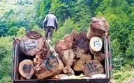 اشد مجازات در انتظار متهمان قاچاق چوب