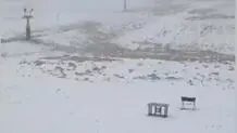 بارش برف در ارتفاعات تهران + ویدئو