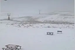 بارش برف در ارتفاعات تهران + ویدئو