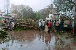 حوادث مرتبط با باران در هند ۹ کشته برجای گذاشت

