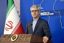 توضیح سخنگوی وزارت خارجه درباره آخرین وضعیت مهدیه اسفندیاری 