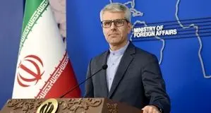 بقائی: پیگیری‌ها برای آزادی مشروط و انتقال مهدیه اسفندیاری به مکانی خارج از زندان ادامه دارد

