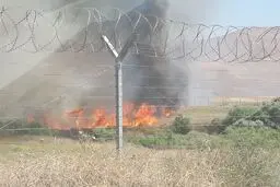 پارک ملی بمو آتش گرفت