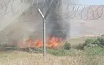 پارک ملی بمو آتش گرفت