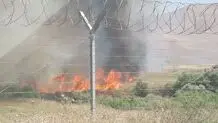 پارک ملی بمو آتش گرفت