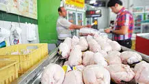 تداوم عرضه مرغ به قیمت مصوب در میادین و فروشگاه‌ها
