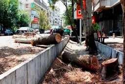 دستورالعمل‌هایی که انجام نمی‌شود 
