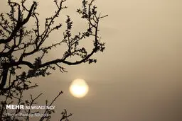 آلودگی هوا در خوزستان ۱۲۰۰ نفر را راهی بیمارستان‌ها کرد

