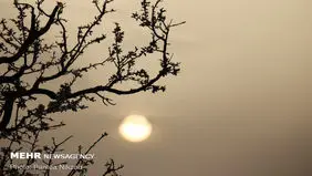 آلودگی هوا در خوزستان ۱۲۰۰ نفر را راهی بیمارستان‌ها کرد

