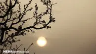 آلودگی هوا در خوزستان ۱۲۰۰ نفر را راهی بیمارستان‌ها کرد

