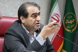 آغاز خرید حمایتی مرغ از ۲۳ شهریورماه