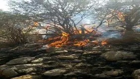 ۲۸ هکتار از مراتع روستای محمودآباد بوکان طعمه حریق شد

