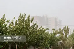 پیش بینی هوای قم دوشنبه 5 خرداد
