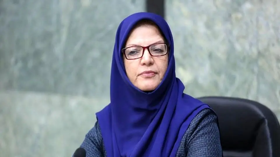 واکنش رئیس انجمن مامایی ایران به زایمان در خانه به دلیل فقر: حتی سلبریتی‌ها هم در خانه زایمان می‌کنند