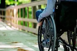  افراد دارای معلولیت به اصلاحات سیاسی و قانونی نیاز دارند

