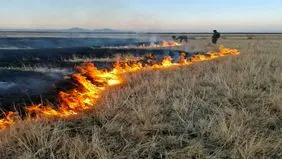 آتش‌سوزی در جنوب پارک ملی دریاچه ارومیه مهار شد
