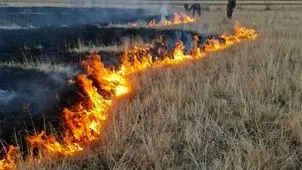 آتش‌سوزی در جنوب پارک ملی دریاچه ارومیه مهار شد
