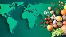 سقوط قیمت جهانی غذا
